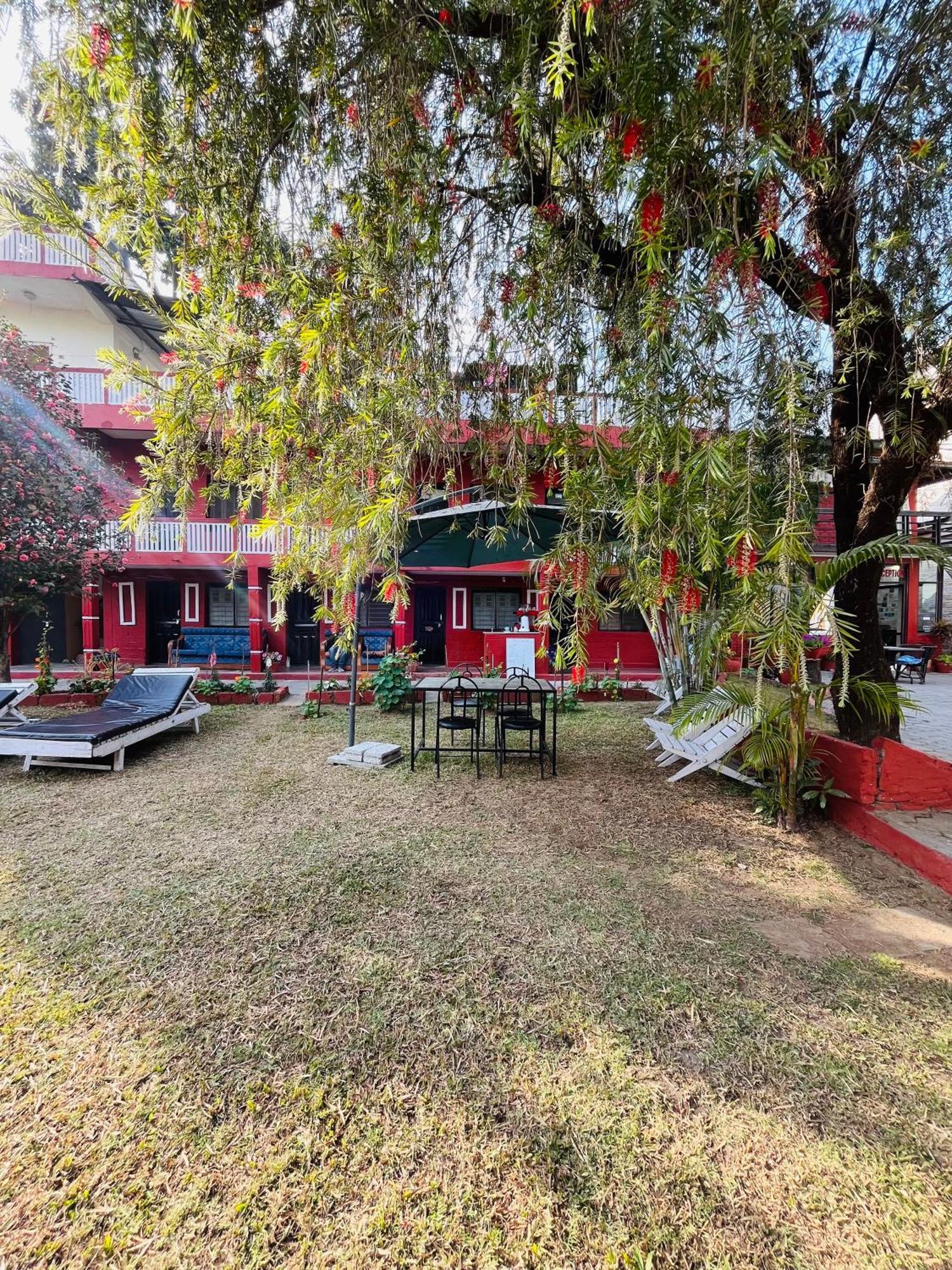 Butterfly Lodge Pokhara Exterior photo