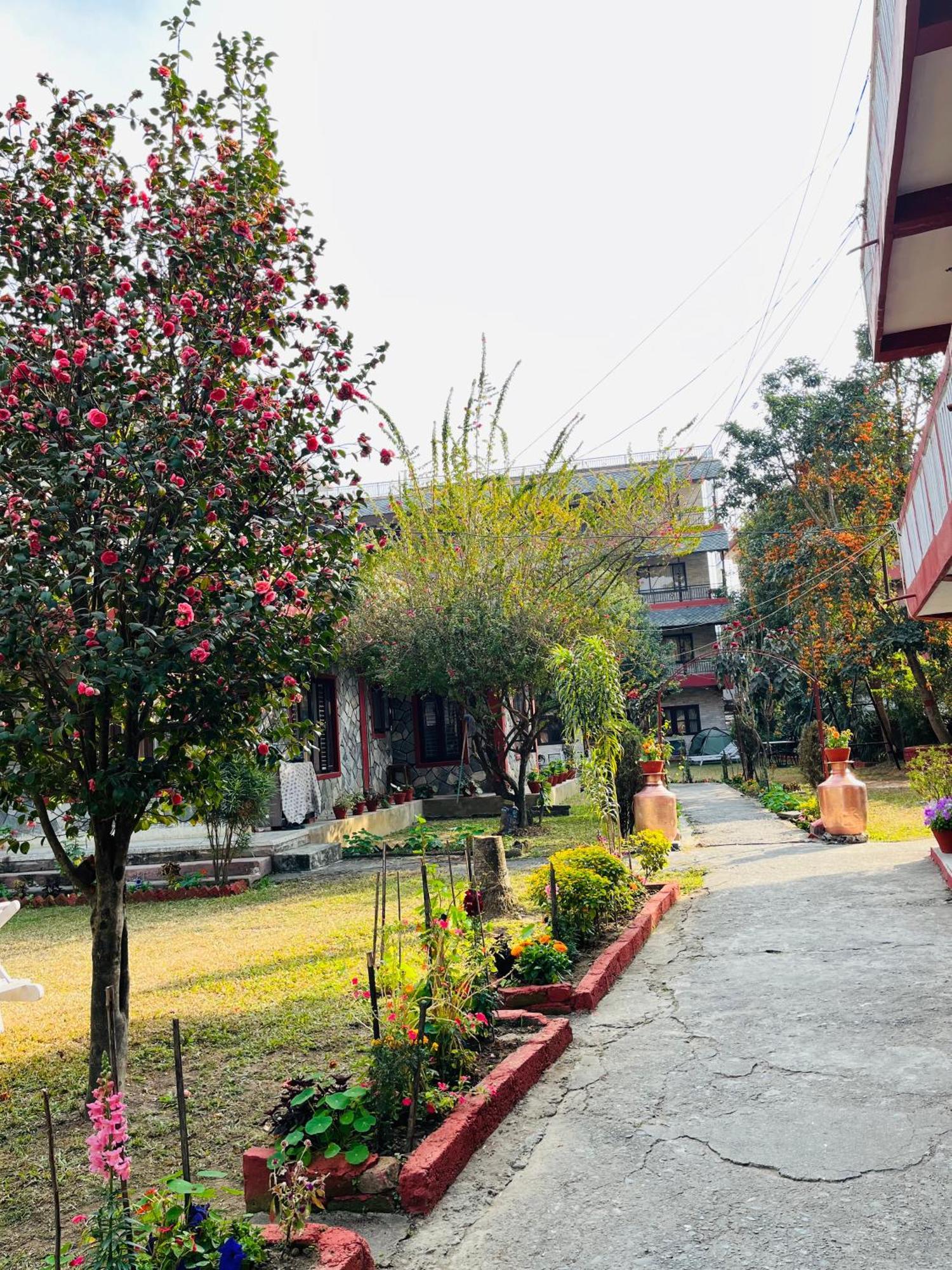 Butterfly Lodge Pokhara Exterior photo